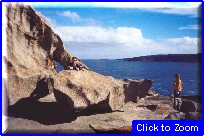 17 Kangaroo Island - Roby Con Americane & Remarkable Rock.jpg